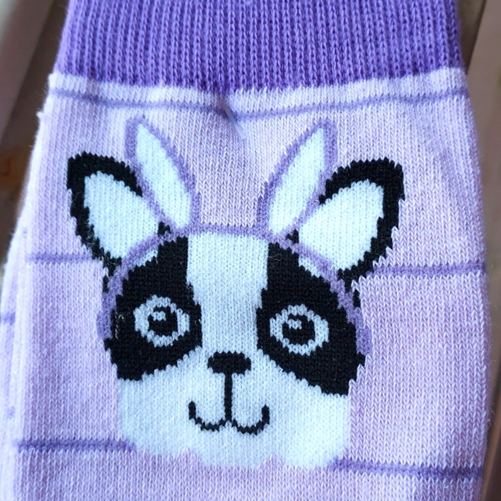 Nwt 2 pairs Easter NOVELTY SOCKS , crew socks Size 4-10 shoes size